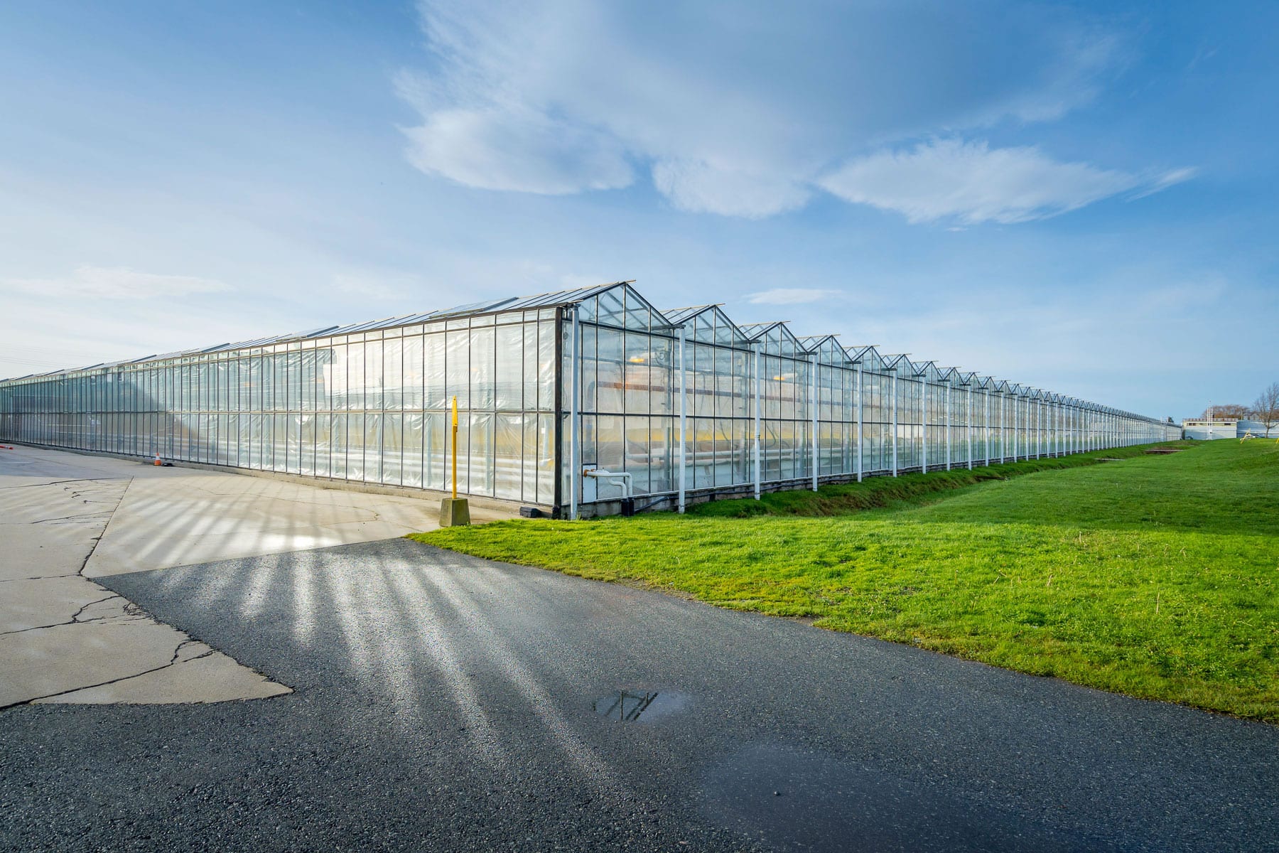 AgraFlora Organics kicks off cultivation in BC flagship greenhouse