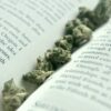 Diedra Harrison-Greenaway launches new book on entrepreneurship in the cannabis business