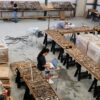 Getchell Gold files Mineral Resource Estimate technical report for Nevada project