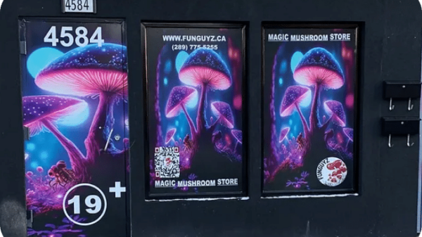 Windsor police raid city's new mushroom dispensary, owners open up shop next day