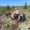 Patriot Battery Metals starts Quebec's largest drill campaign