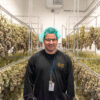 Canadian cannabis sales shoot up by over 24%; unpaid taxes skyrocket