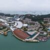 BPH Global produces extraction method for drawing metals from seaweed