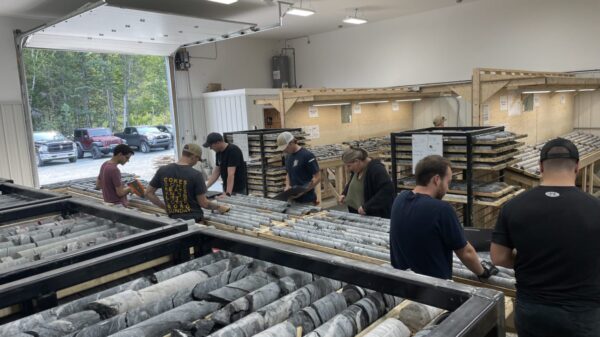 New Found Gold shares drop 28% as new mineral resource estimate is announced