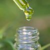 CBD proves its value for chronic pain relief in small survey study