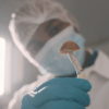 Psyence BioMed invests half a million into natural psychedelics operator PsyLabs